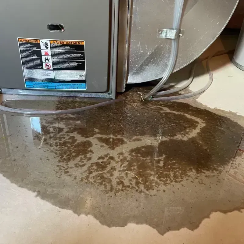 Appliance Leak Cleanup in Palisade, CO